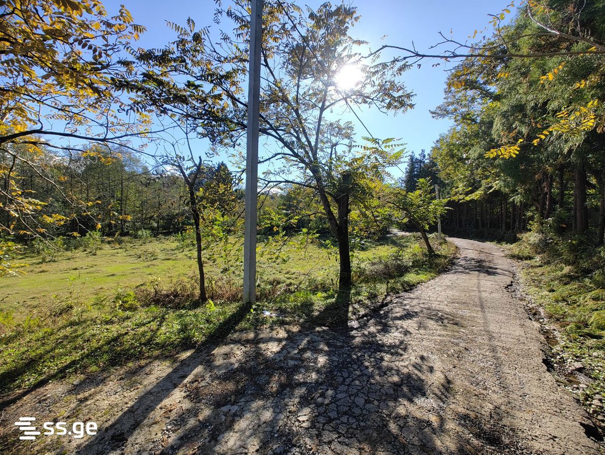 Land For Sale. Chaqvi view 13
