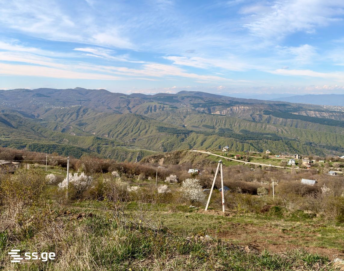 Land For Sale. Betania view 3