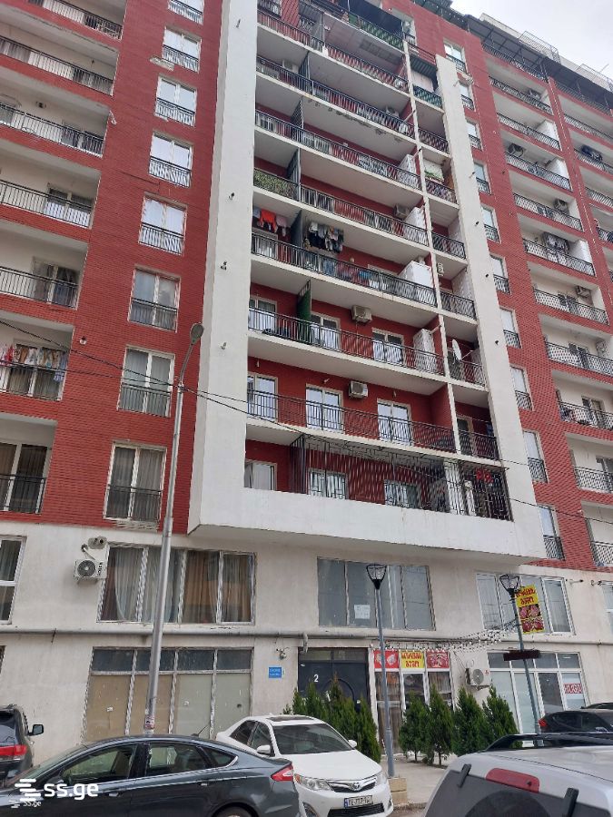 2 Room Flat Daily Rent. Didi Digomi view 6