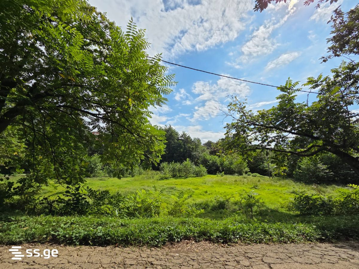 Land For Sale. Chaqvi view 9