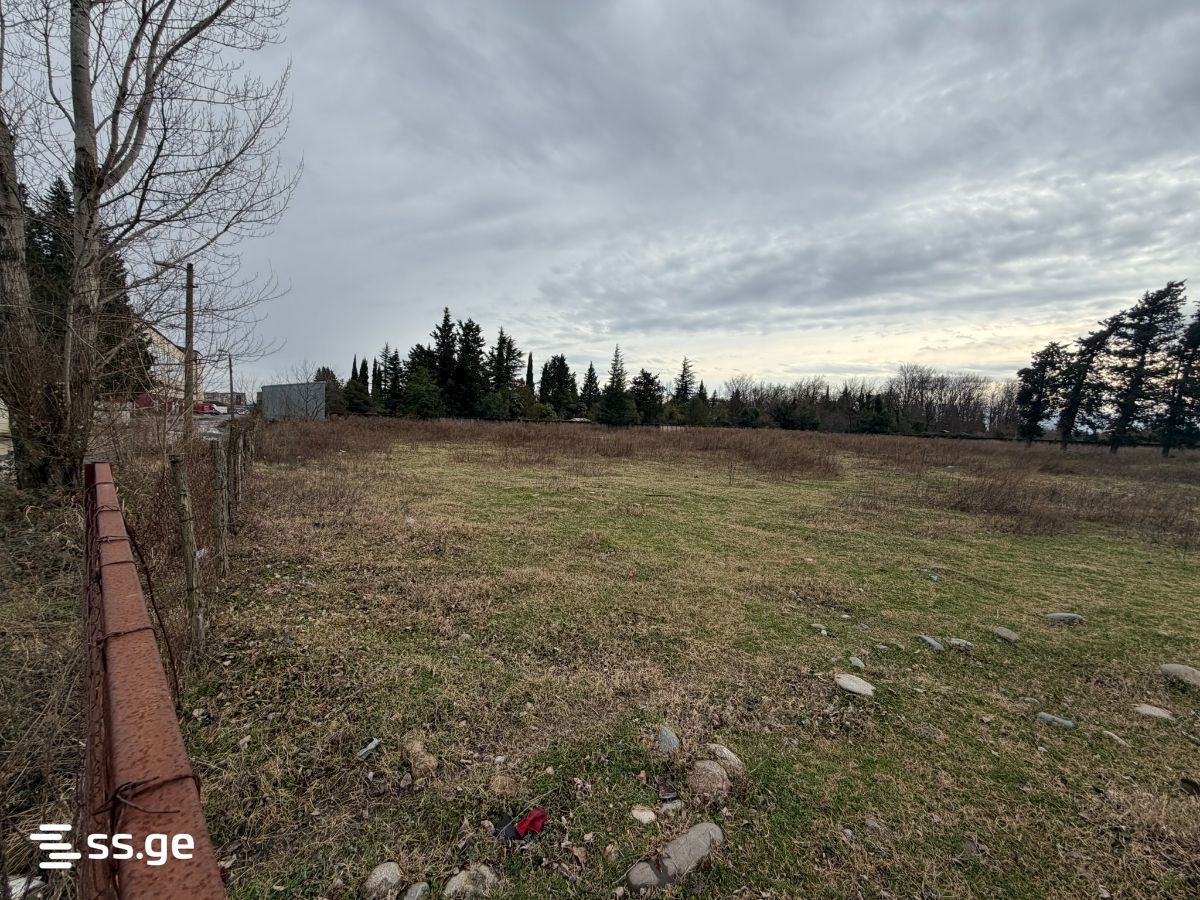 Land For Sale. Kutaisi view 5
