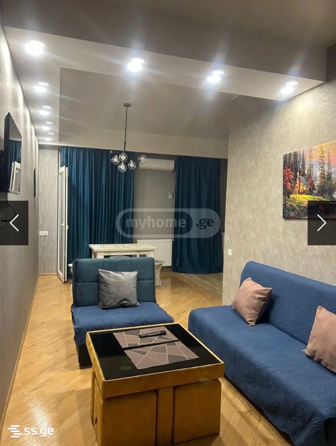 2 Room Flat Daily Rent. Didi Digomi, 6 of 9