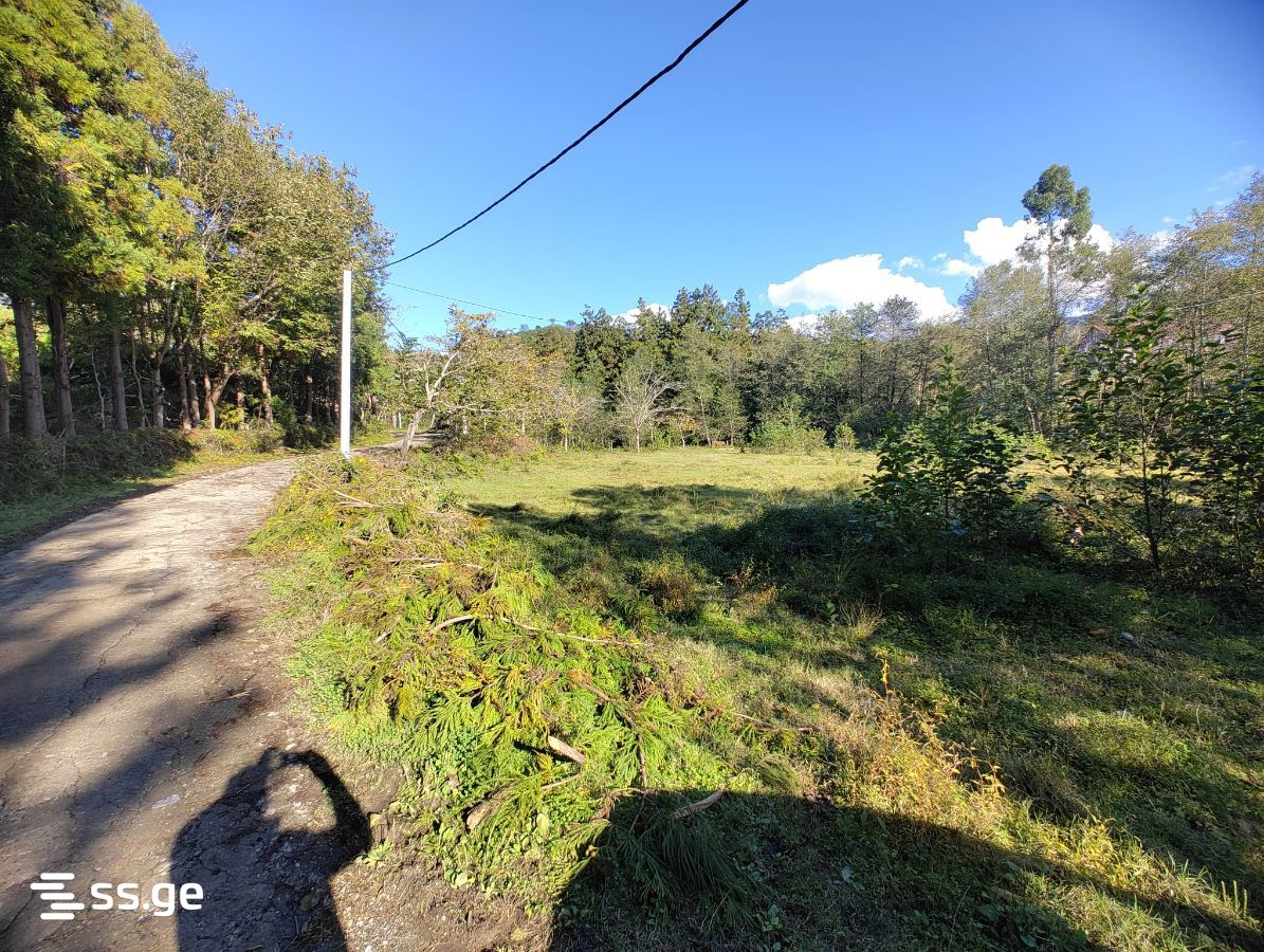 Land For Sale. Chaqvi view 12