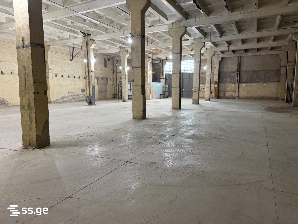 Store-Industrial Property For Rent. Nadzaladevi, 3 of 3