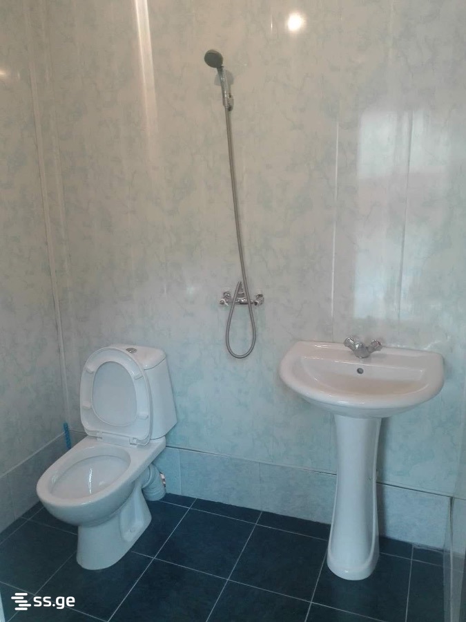 1 Room Private House Daily Rent. Borjomi view 1