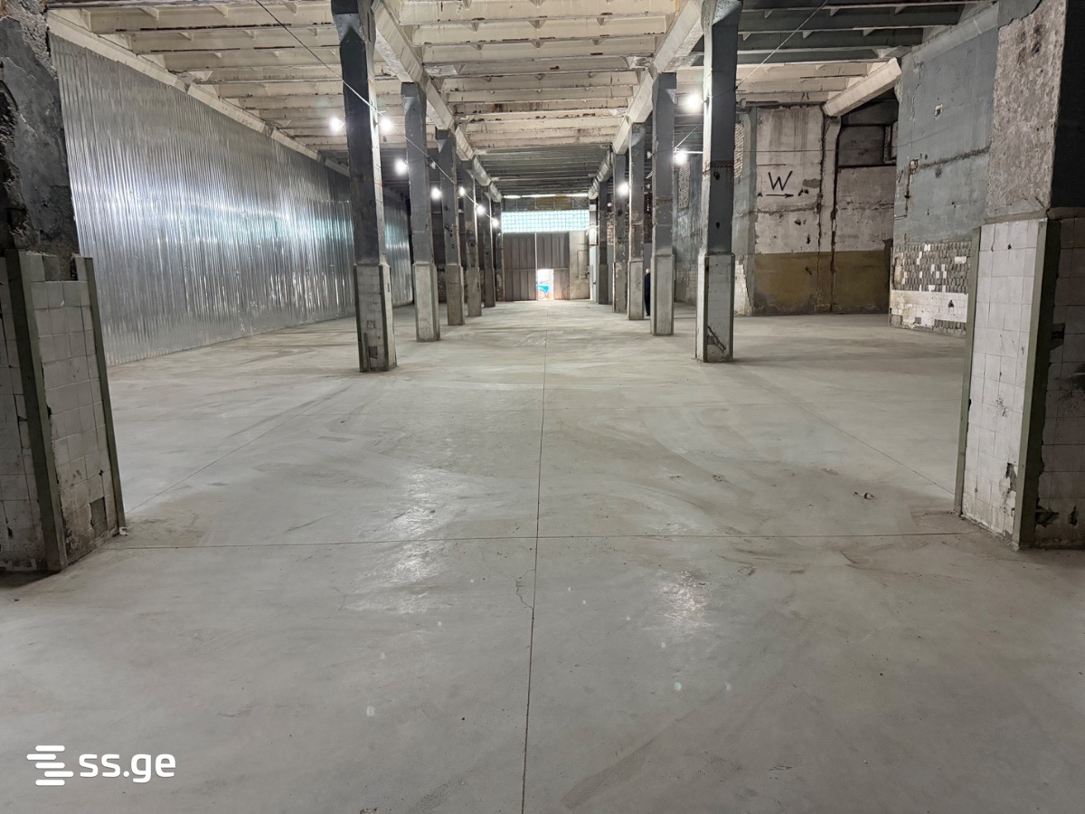 Store-Industrial Property For Rent. Nadzaladevi, 2 of 3