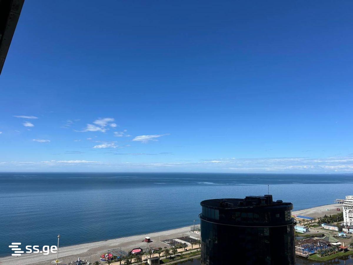 1 Room Hotel For Rent. Batumi view 1