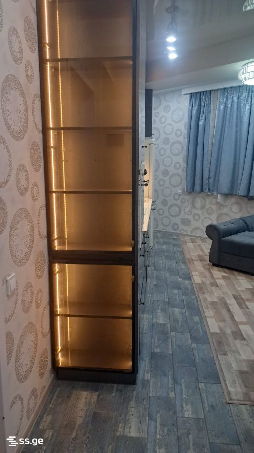 2 Room Flat Daily Rent. Rustavi view 8
