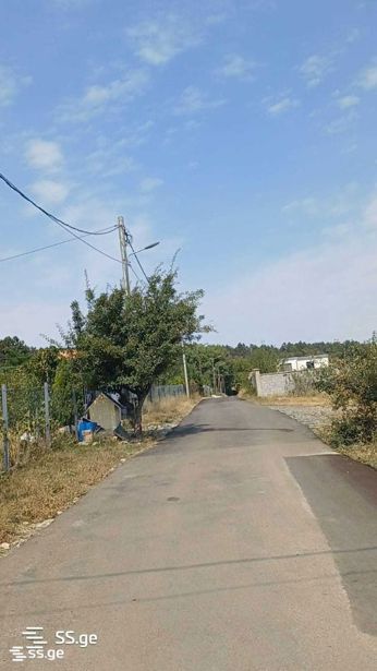 https://static.ss.ge/20260512/16_62319c33-12a0-4289-9719-6c486cd0fe14_Thumb.jpg