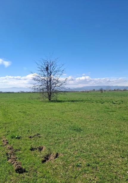 https://static.ss.ge/20260512/16_bab80e3b-c3c4-4e6e-877b-476a9423bc35_Thumb.jpg