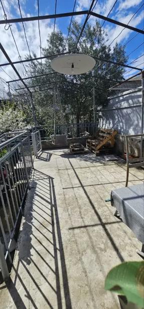 https://static.ss.ge/20260512/1_00e96a5b-1e8c-4057-a0f6-7d4804ab7bec_Thumb.jpg