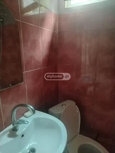 https://static.ss.ge/20260512/4_0657f546-b1eb-4aa2-9126-1fd31078c066_Thumb.jpg