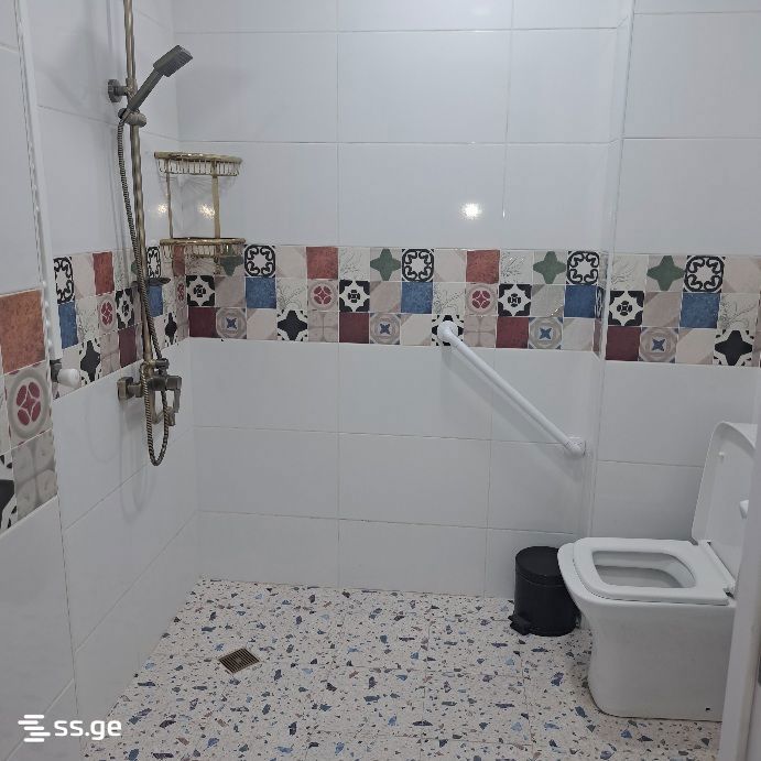 2 Room Flat Daily Rent. Rustavi view 4