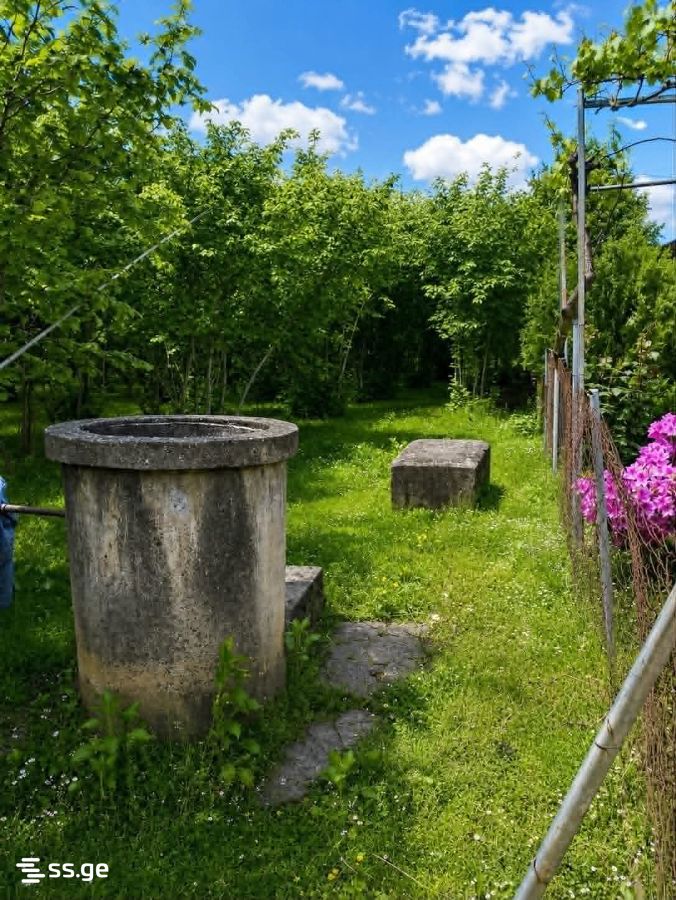 Land For Sale. Zugdidi view 1