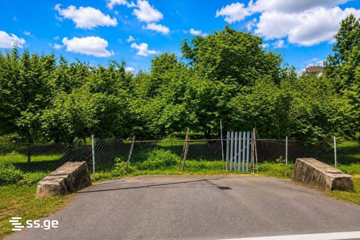Land For Sale. Zugdidi view 2