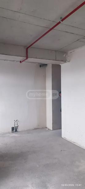 https://static.ss.ge/20260513/12_e0f5a9f6-76d3-4a30-a6e5-12903ce90e96_Thumb.jpg