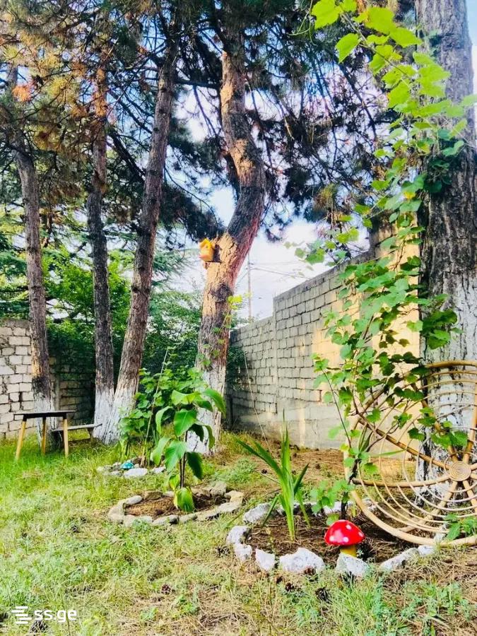 4 Room Private House For Sale, 4 of 4