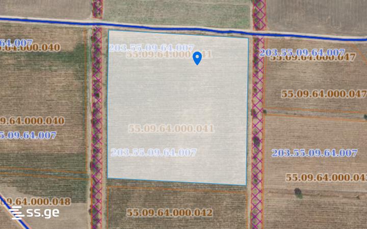 Land For Sale. Sagarejo view 4