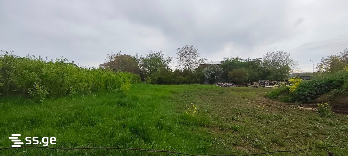 იყიდება მიწა შინდისიში view 4