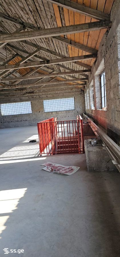 Store-Industrial Property For Rent. Samgori view 9