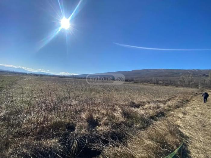https://static.ss.ge/20260514/10_0971f28a-e11f-40fa-a019-0797e123ffb8_Thumb.jpg