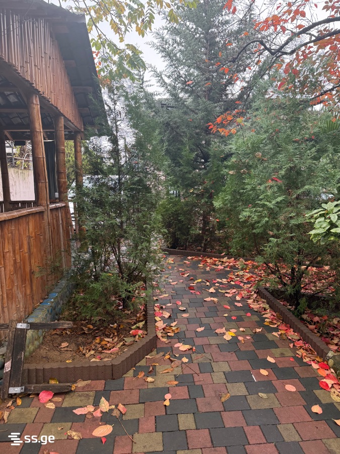 2 Room Private House For Rent. Batumi view 10