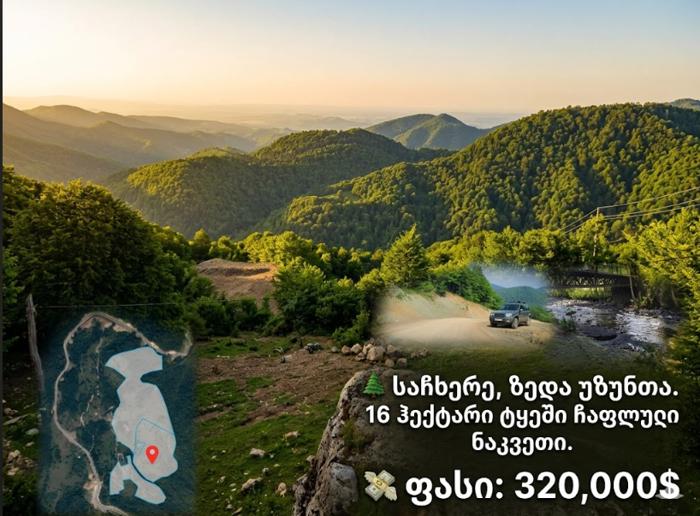 https://static.ss.ge/20260514/13_0bd4c183-5d7c-45fa-b6cb-46aba13fc815_Thumb.jpg