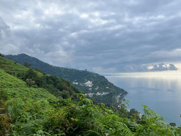 https://static.ss.ge/20260514/14_e22ffc36-431a-494f-a05f-484f035acd57_Thumb.jpg
