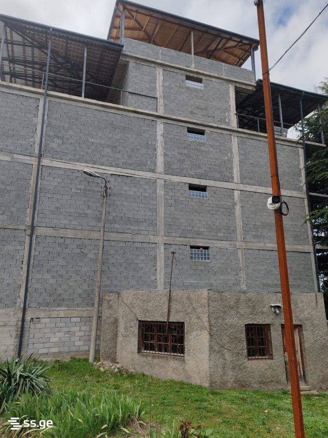 Store-Industrial Property For Rent. Telavi, 3 of 3