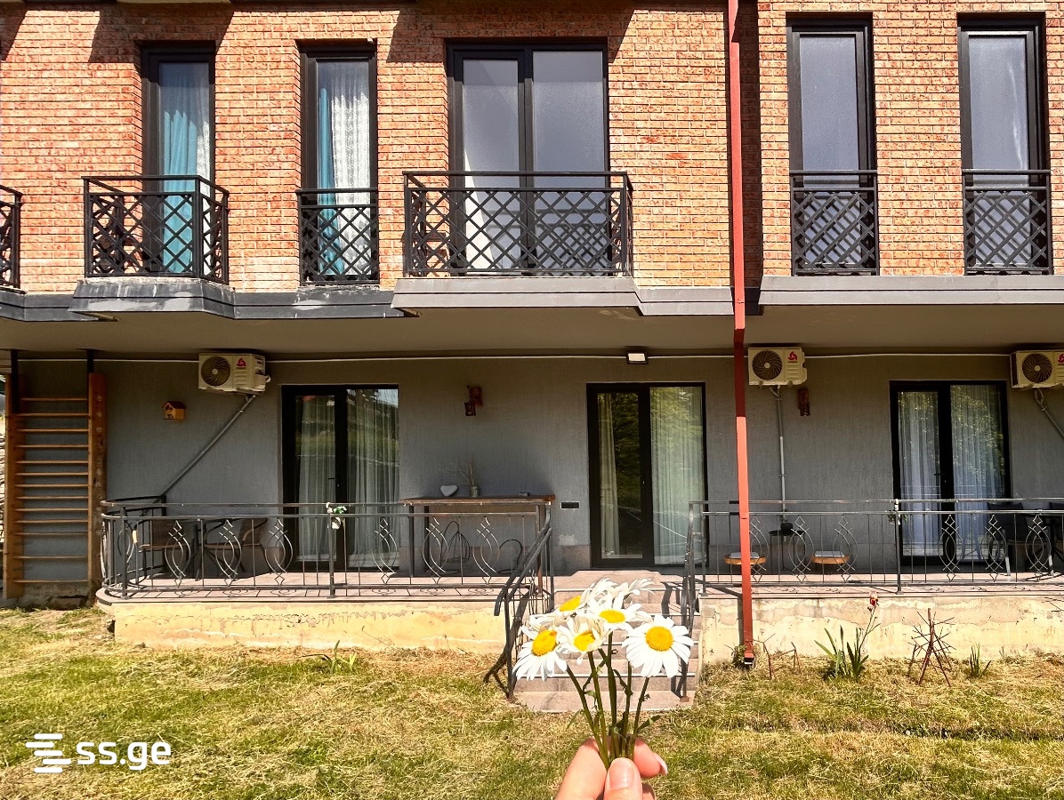 1 Room Flat Daily Rent. Kutaisi view 2