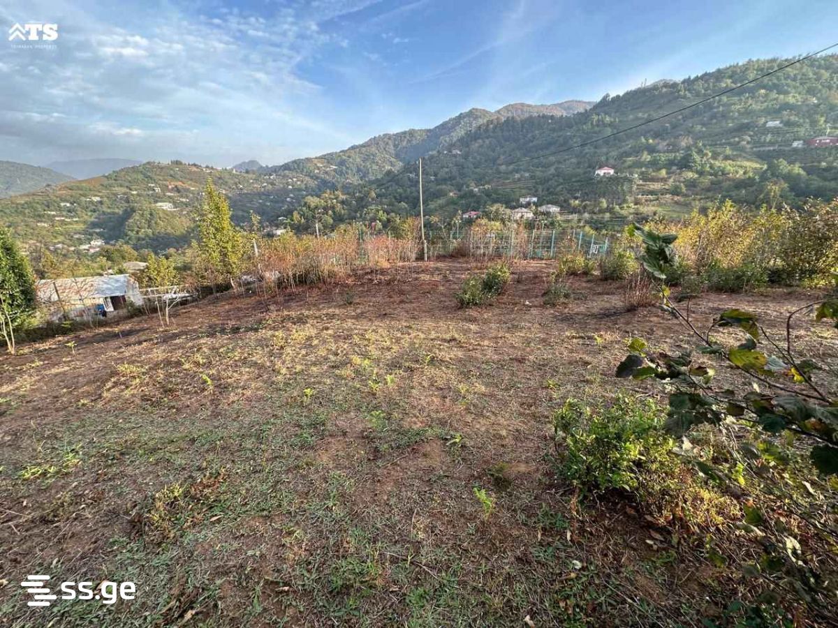 Land For Sale. Khelvachauri view 6