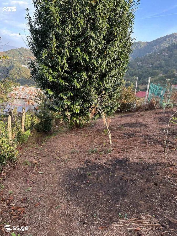 Land For Sale. Khelvachauri view 2