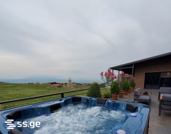 5 Room Summer Cottage Daily Rent. Tabakhmela view 10