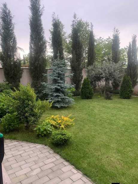 https://static.ss.ge/20260515/16_cc97ea37-0280-4829-992f-7396b36c70ac_Thumb.jpg