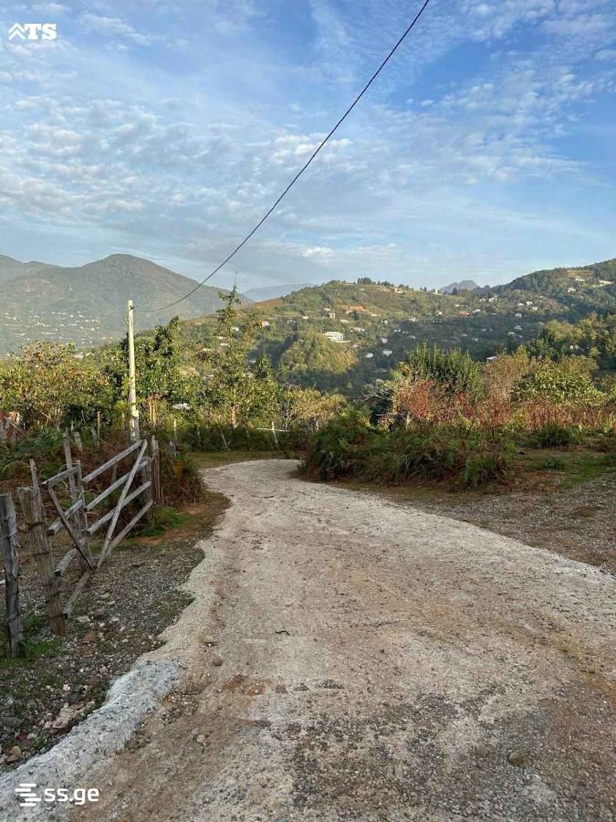 Land For Sale. Khelvachauri view 3