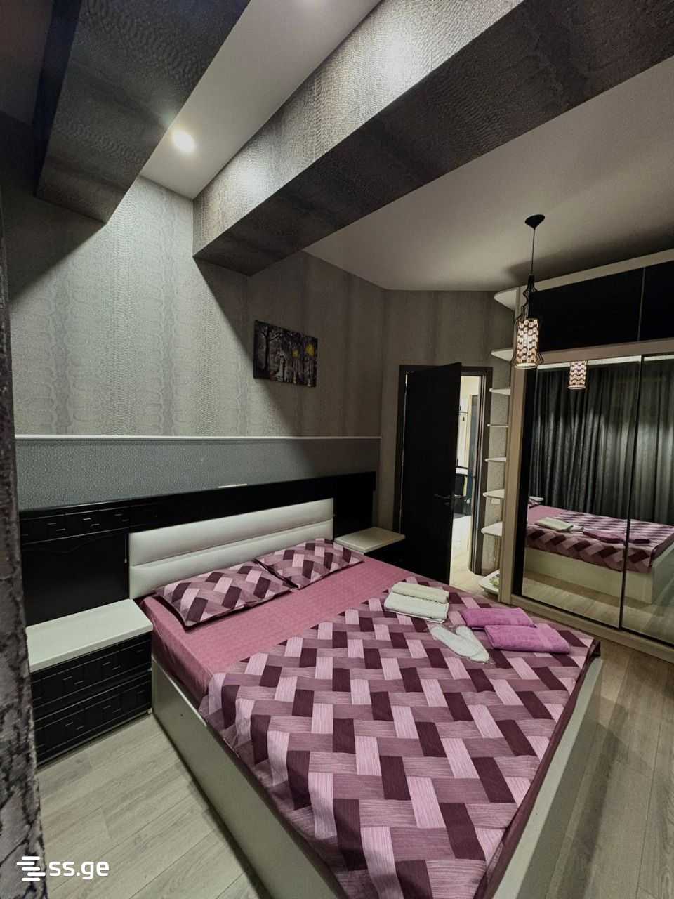 2 Room Flat Daily Rent. Nadzaladevi view 3