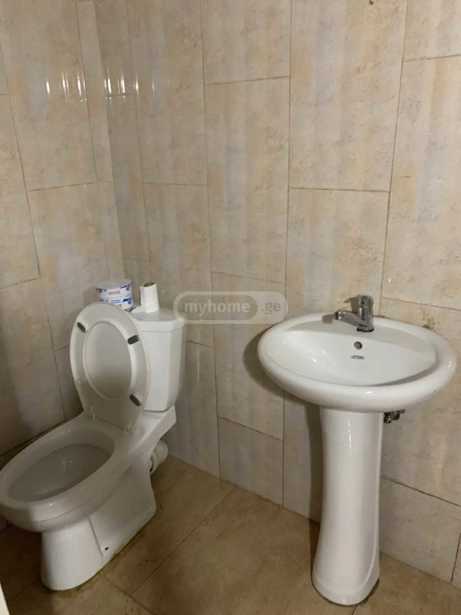 https://static.ss.ge/20260516/16_4c9dfab1-601e-4afe-ae8b-5df94e721e5a_Thumb.jpg