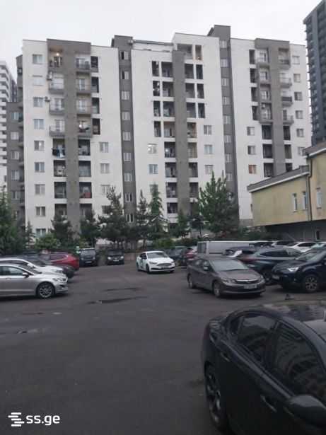 https://static.ss.ge/20260516/9_5b437c35-c00e-4ece-aaf4-cfe8a3572912_Thumb.jpg