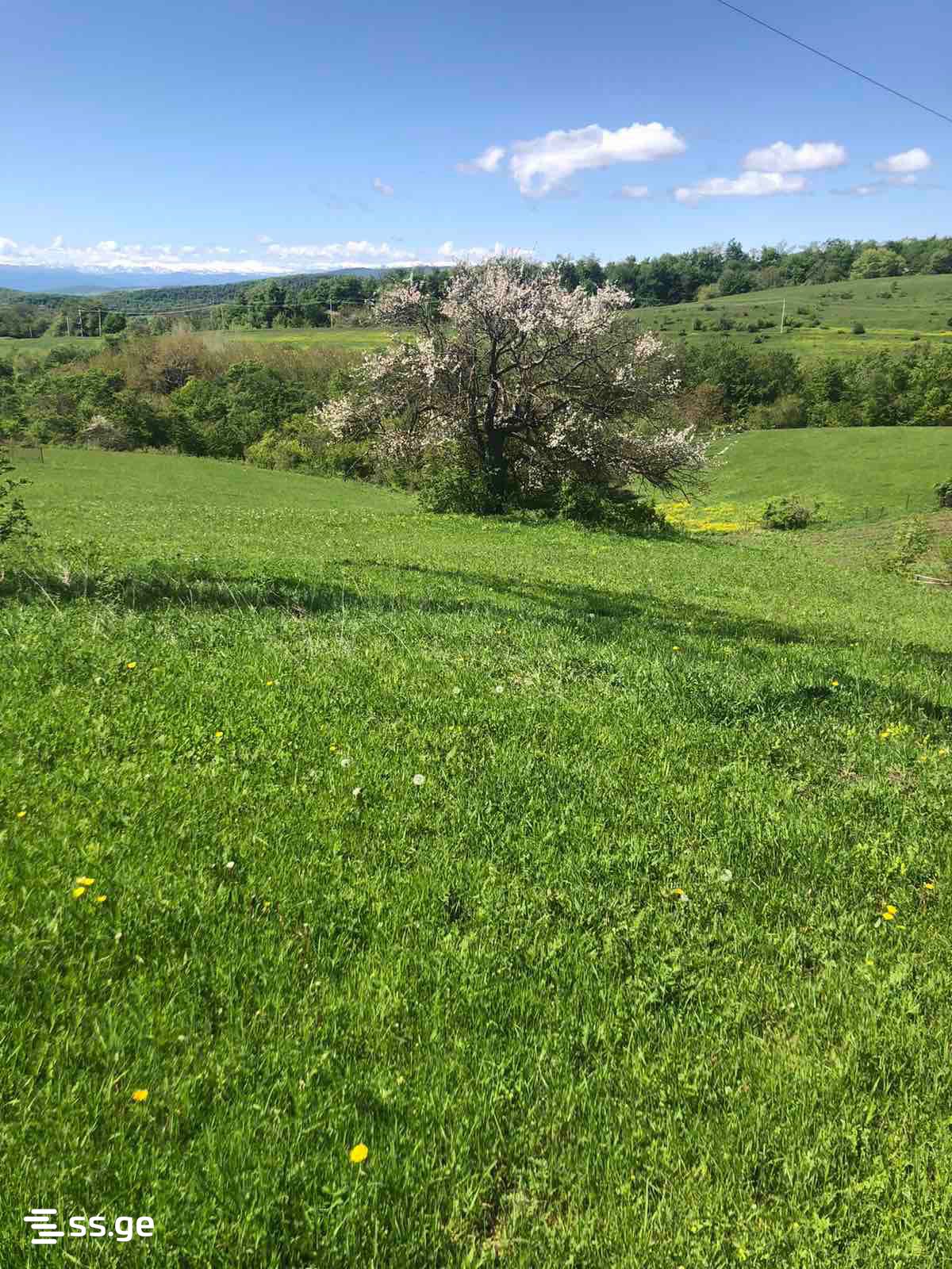 Продажа Земля в орбети view 4