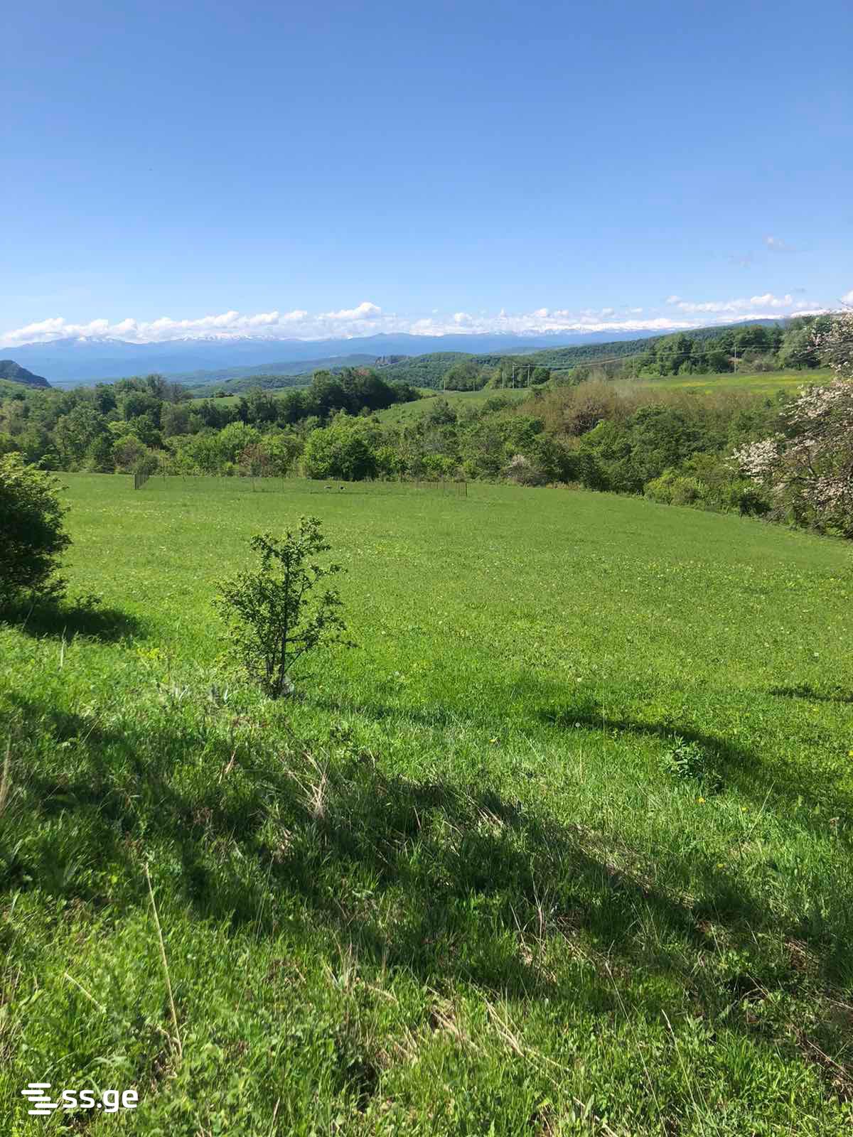 Продажа Земля в орбети view 3