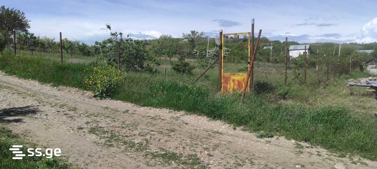 Land For Sale. Gardabani, 3 of 4