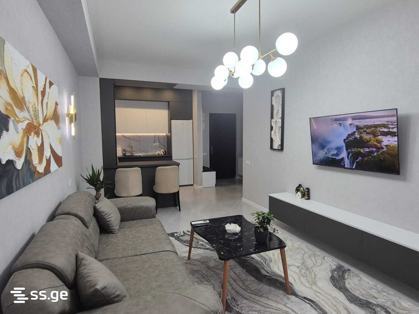 2 Room Flat Daily Rent. Nadzaladevi, 8 of 12