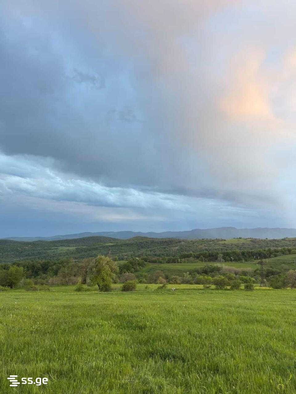 Land For Sale. Orbeti view 5