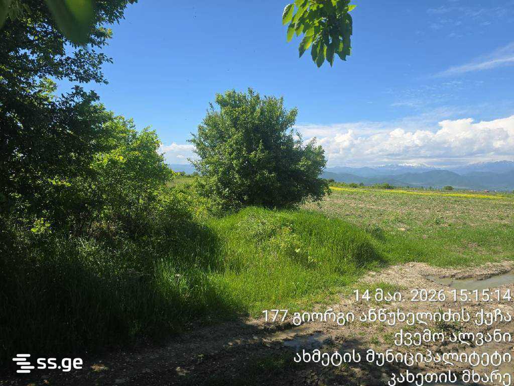 Land For Sale. Akhmeta view 1