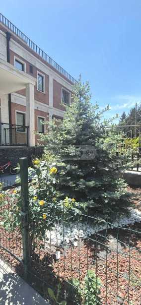 https://static.ss.ge/20260518/10_9a540407-0497-412e-9f62-dca2d7d22e53_Thumb.jpg