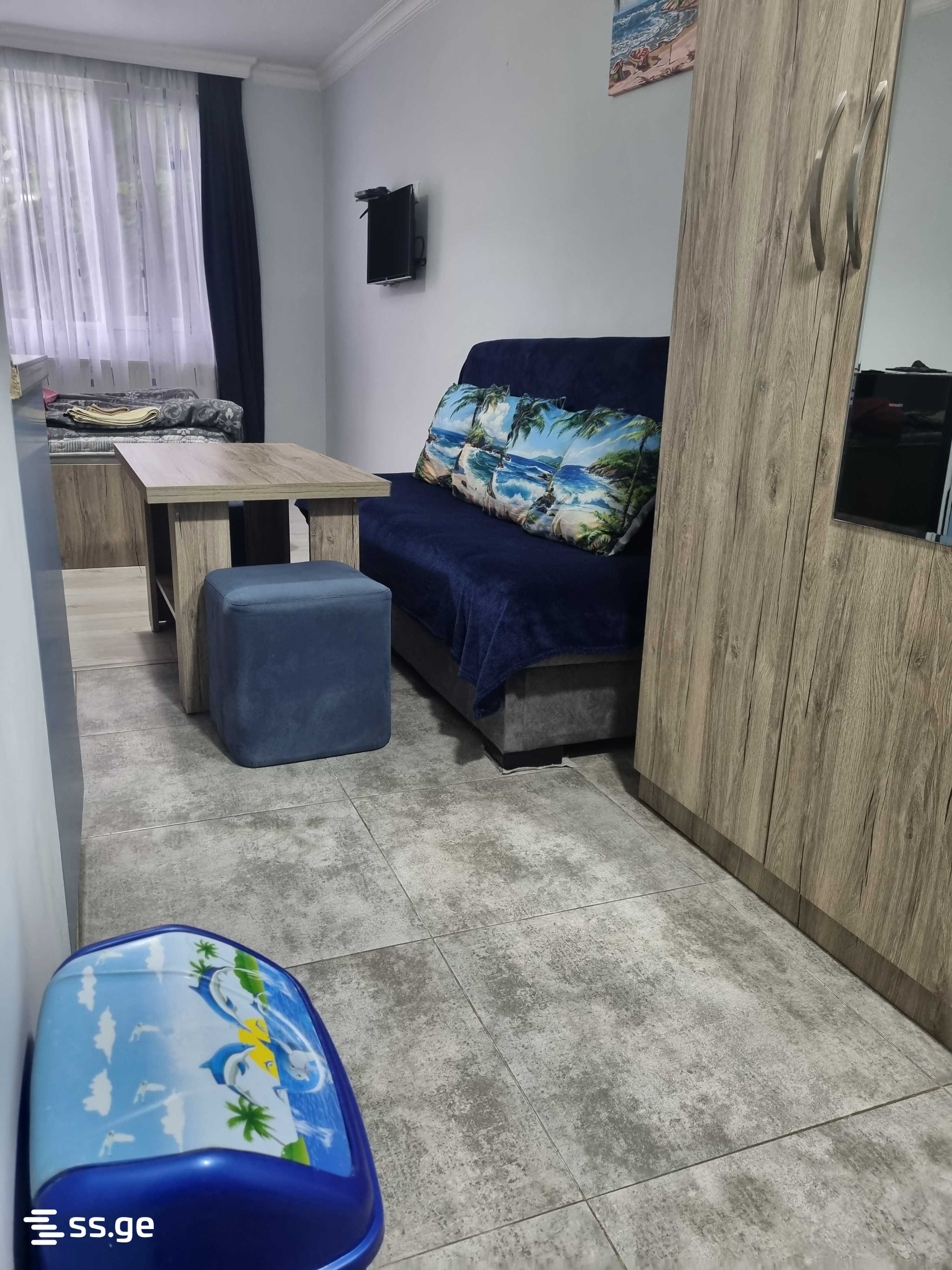 1 Room Flat Daily Rent. Borjomi view 5