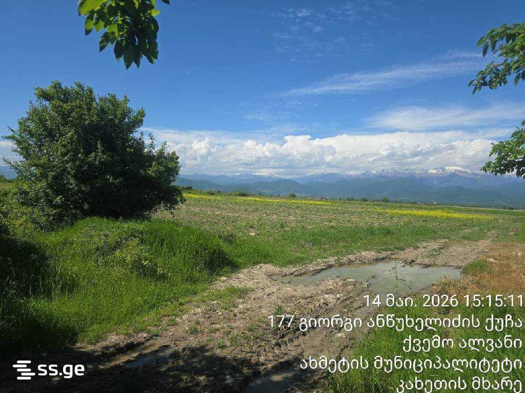 Land For Sale. Akhmeta view 2