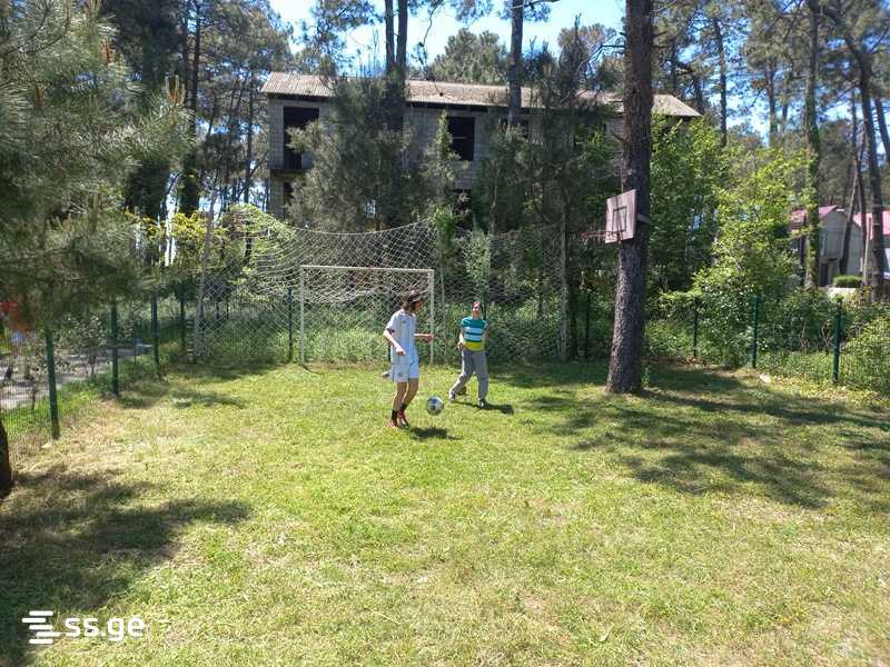 5 Room Private House Daily Rent. Grigoleti view 5