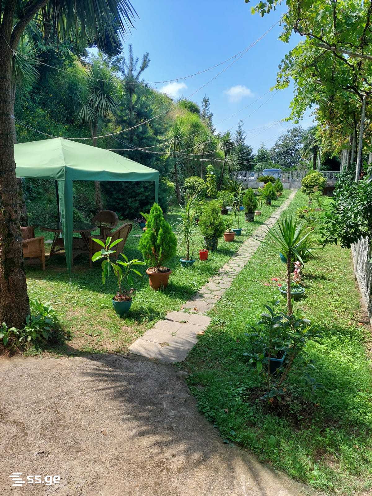 Private House For Rent. Khelvachauri view 4