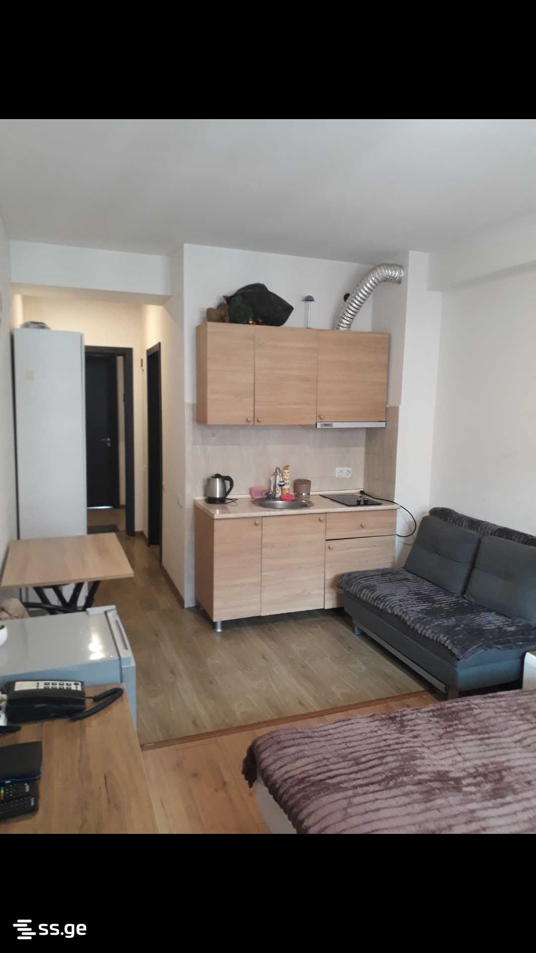 1 Room Flat Daily Rent. Bakuriani view 4